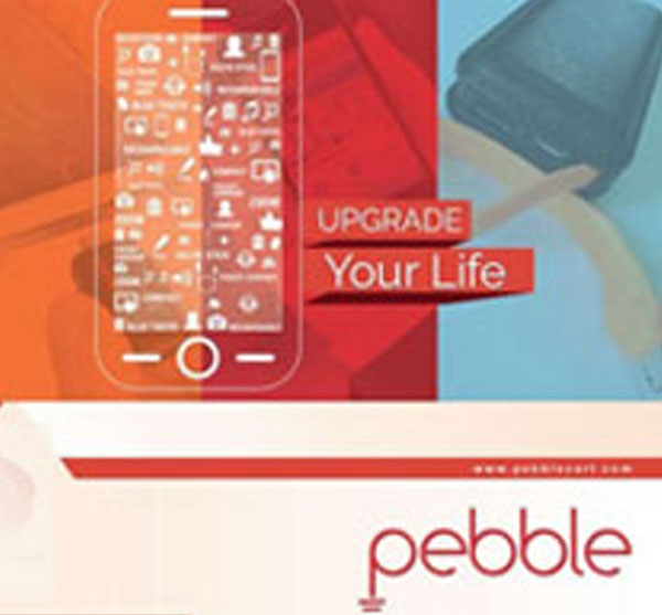 Pebble