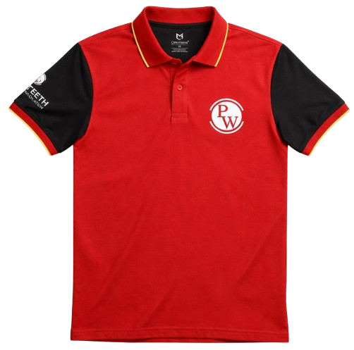 Promotional T-Shirt PW